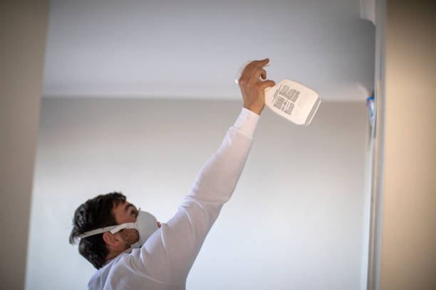 Best Office Mold Removal Services  in Benavides, TX
