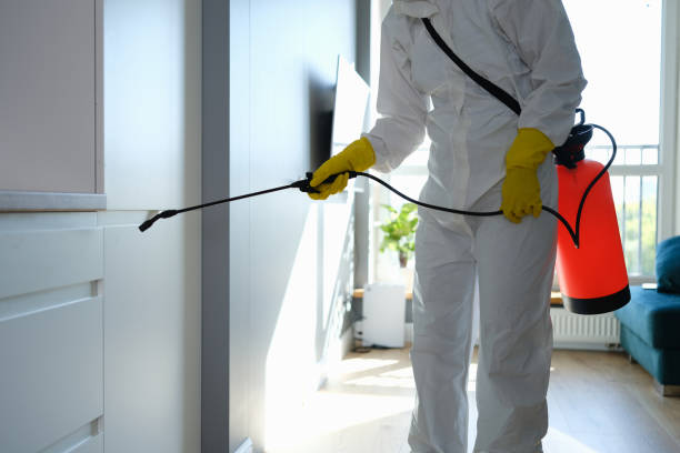 Best Mold Testing  in Benavides, TX